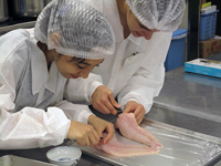 株式会社グレイス　安井悦子会員