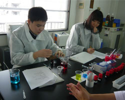 インターンシップの様子４