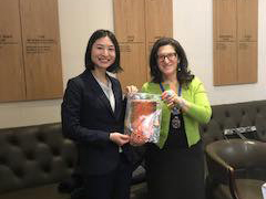 イギリス大学院留学1