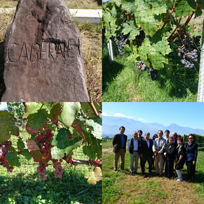 明野・ミサワワイナリーツアー4