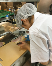 インターンシップの様子1